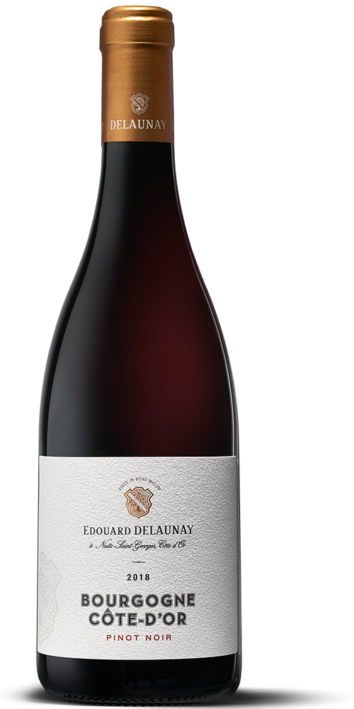 Bourgogne Côte d'Or Pinot Noir Red 2019