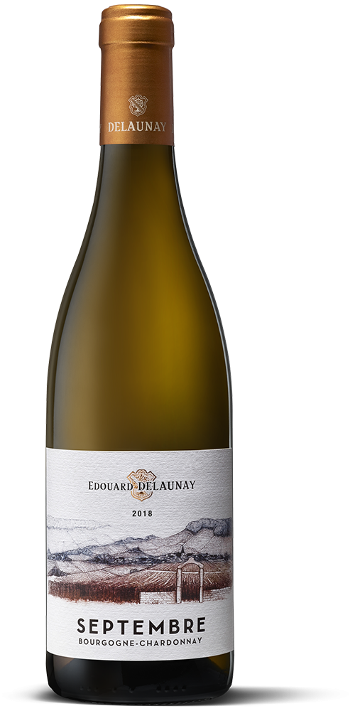 Bourgogne Chardonnay Septembre 2021