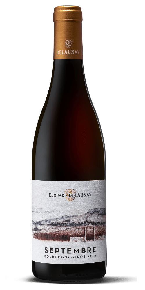 Bourgogne Pinot Noir Septembre Rouge 2023 Maison Edouard Delaunay